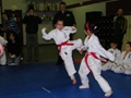 Junior Martial Arts Fight Off 14-8-2010 007