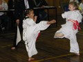 Shinkyokushin Non Contact Point Scoring and Kata Tournament 20-06-2010 001