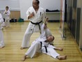 Shihan Hasegawa Training Session 29-3-2012 014