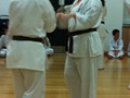 Shihan Hasegawa Training Session 29-3-2012 020